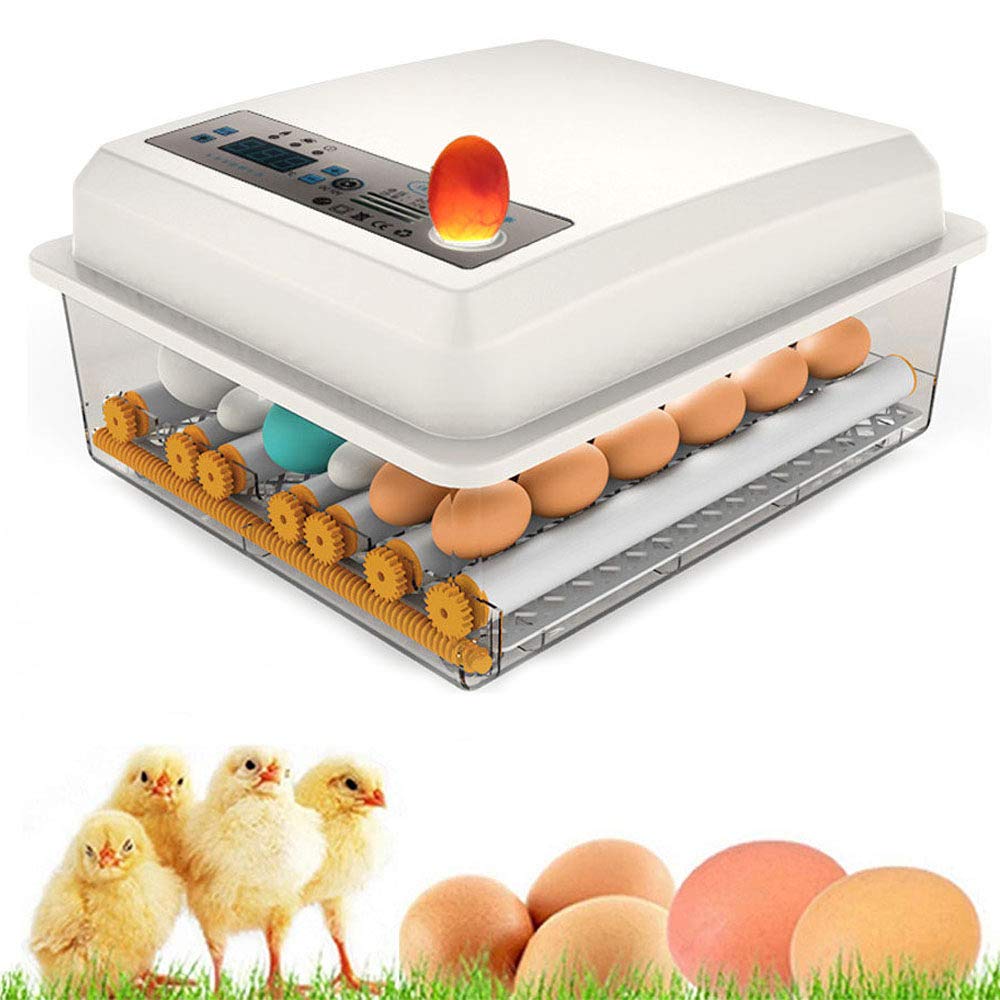 Amazon.co.jp: 孵化器、自動孵化装置、LEDディスプレイ付き卵